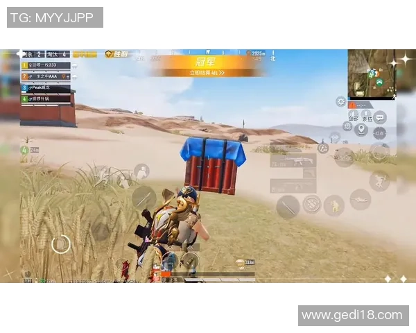 和平精英热议LNG耐力争议背后的竞技精神与游戏平衡探讨