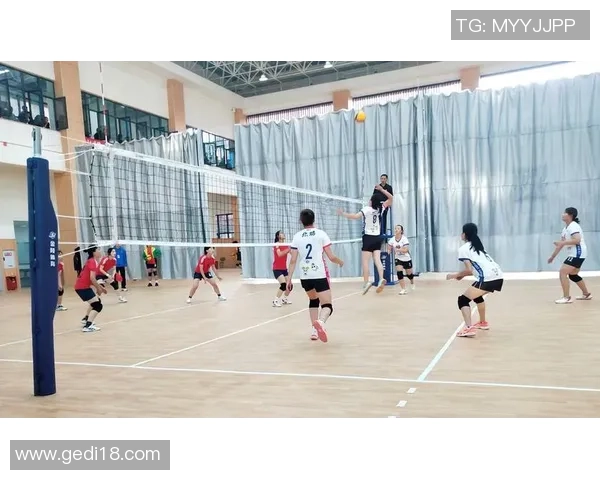 成都排球队的节奏革新探索与实践引领未来发展新方向MBA